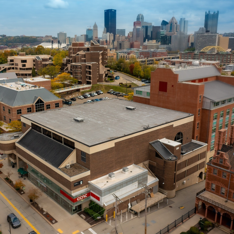 CCAC Wild Cats Athletics: A Legacy of Excellence in 2023-2024 and a Bold Vision for 2025-2026  Go Wild Cats!